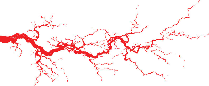 Abstract red blood vessel or river network crack texture silhouette background concept vector illustration.
