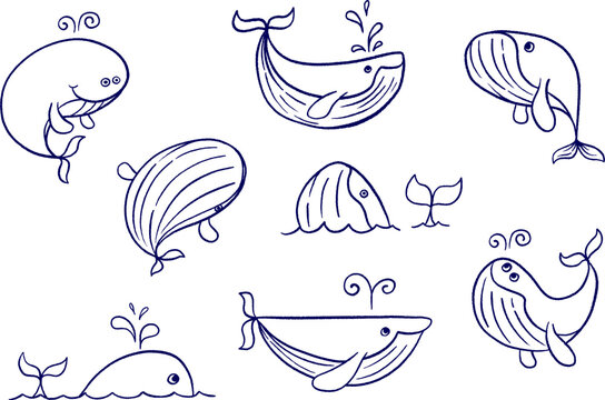 Cute hand-drawn doodle whale characters vector illustration set. Ocean life collection featuring various stylized whales spouting water and swimming on white background.