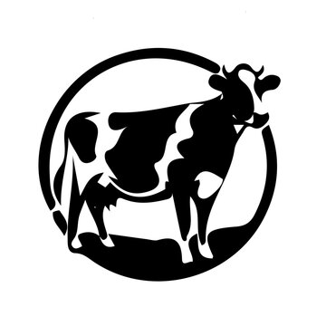 Black and White Cow and Bull with Milk Cartoon Vector Illustration Design
