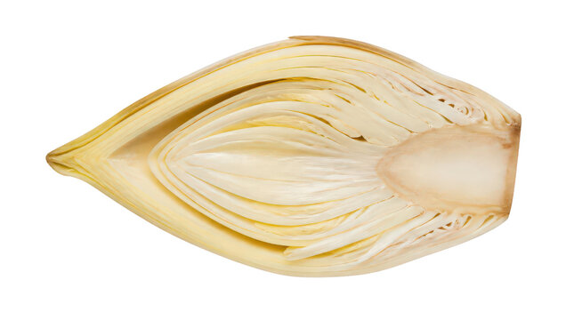 Sliced Belgian Endive Vegetable Isolated