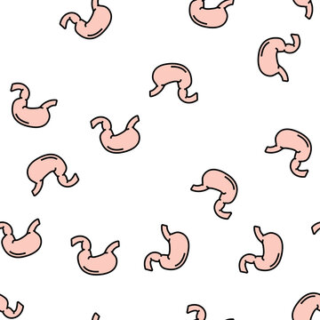stomach human organ vector seamless pattern stomach human organ sign illustration