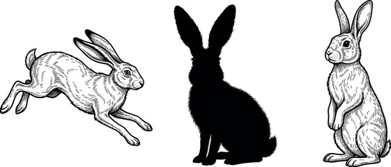 Vintage Rabbit and Hare Vector Illustration Set with Running Sitting and Standing Silhouette Poses for Easter Nature and Logo Designs © Ayesha