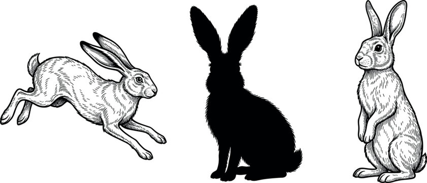 Vintage Rabbit and Hare Vector Illustration Set with Running Sitting and Standing Silhouette Poses for Easter Nature and Logo Designs