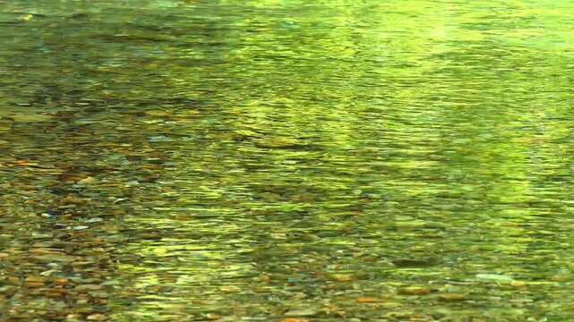 4k 　新緑が映り込む清流