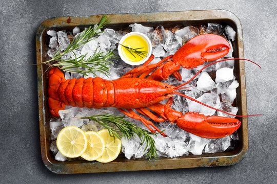 Red boiled large lobster on a metal tray. Seafood, top view.