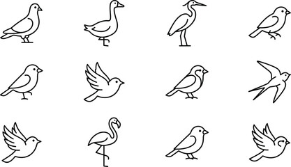 Obraz premium Bird species and wildlife nature line icon set with pigeon duck heron sparrow flamingo flying symbols