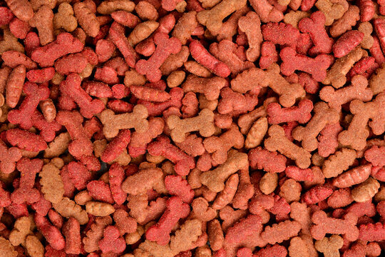 Close up photo. Dry dog ​​food in the form of bones, texture background of pet food.