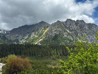 Dramatic rocky mountain peaks partially covered by heavy clouds above dense green coniferous forest, wild alpine landscape. Tatras mountains © TomKorcak