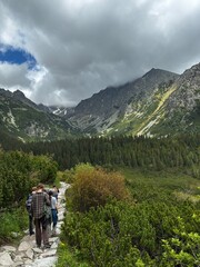 Fototapeta premium Group of tourists hiking on a rocky trail in a dramatic mountain valley with pine forests. Active travel and adventure.