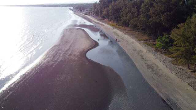 An aerial drone view of a sandy beach during low tide, revealing a winding water channel and a sandbar next to a pine forest