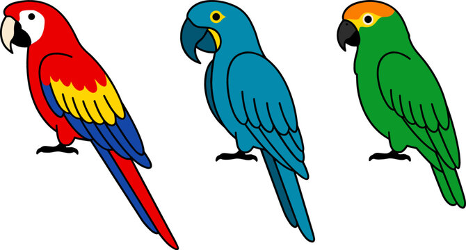 Exotic Tropical Parrot Vector Set Featuring Red Scarlet Macaw Blue Hyacinth Macaw and Green Conure for Wild Bird Logos and Rainforest Conservation Graphics