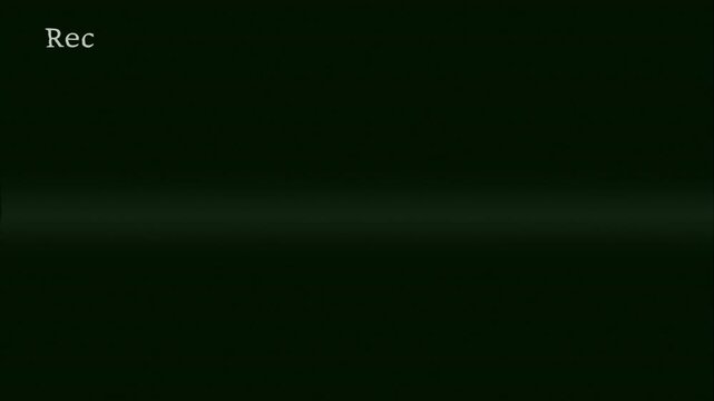 Green Analog Static Recording Overlay with REC Indicator and Surveillance Signal Noise 4K