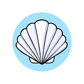 Illustration of a white scallop seashell in a pale blue circle on a plain background