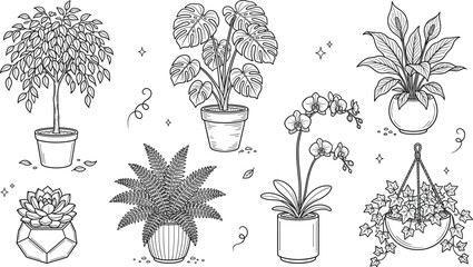 Potted house plants vector line art illustration set with monstera orchid fern succulent and hanging ivy on white © MdMursalin