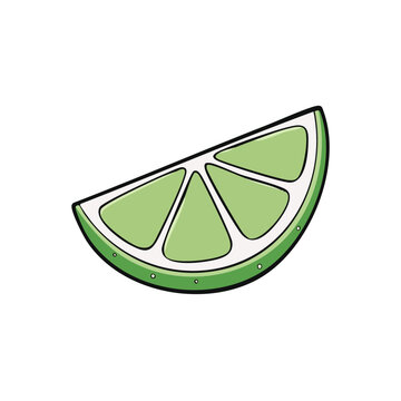 Cartoon slice of fresh green lime with visible segments and white pith isolated on white