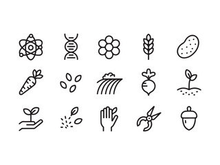 Set of line icons related to plants and gardening including DNA atom carrot potato wheat acorn  various botanical and genetic symbols © Rayhan