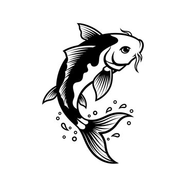 Black and white koi fish swimming.