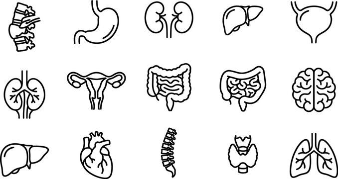 Black line icons of various human organs