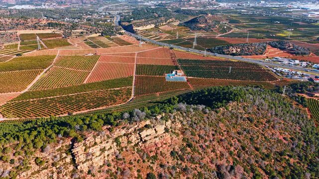 High angle drone view of red earth orchards near highway. Aerial shot of terracotta soil farm plots next to a highway, with a rocky cliff in the foreground.