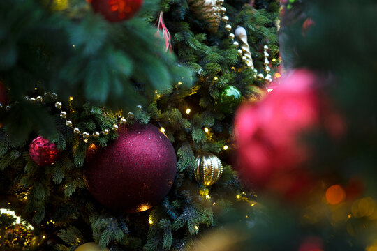 Red ball on Christmas tree. Christmas decoration. Background for Christmas card. New Year's bokeh