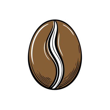 Detailed Hand Drawn Coffee Bean Illustration with a Single Organic Shape