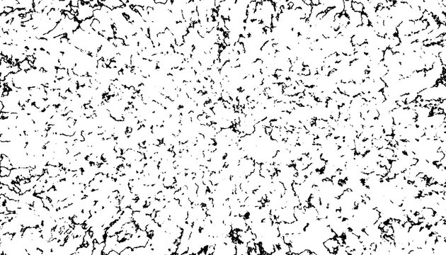 Abstract black and white grunge texture showing detailed organic cracked patterns with high contrast visuals in a stark monochromatic style 