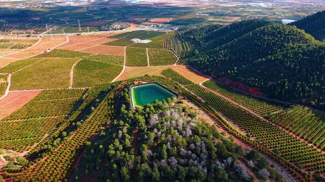 Hilltop water reservoir within geometric rows of citrus plantation. Elevated view of an artificial irrigation pond on a hill surrounded by terraced orange orchards.