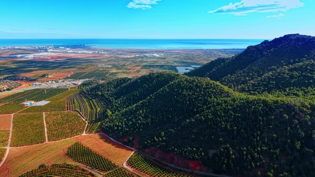 Coastal valley landscape with citrus orchards and forested hills. Wide aerial view of patterned agricultural fields meeting forested slopes with the blue sea on the horizon.