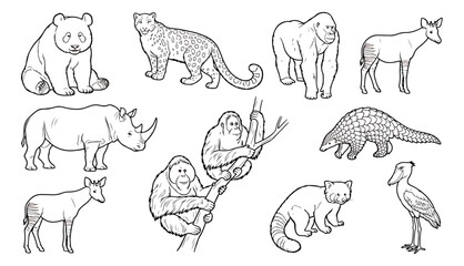 Hand drawn endangered animals vector set, wild animal line art collection for coloring books, black and white wildlife illustrations including panda and rhino © Farah-Studio