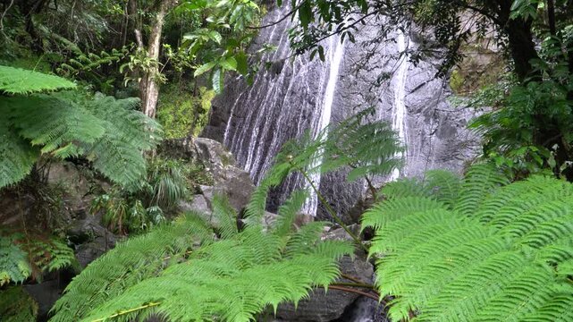 Tropical Waterfall in El Yunque Rainforest, Puerto Rico