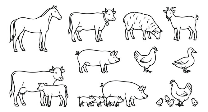 Hand drawn farm animals vector set, minimalist line art livestock icons, rustic barnyard sketches