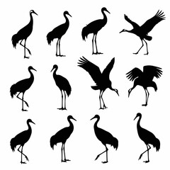 Obraz premium Dark crane silhouettes isolated on white background