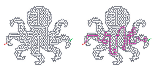 Maze pattern in the shape of an octopus with solution path   © Aleksandra
