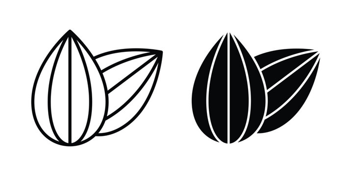 Almond icon