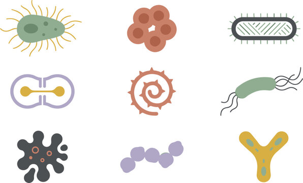 Bacteria and virus micro organism vector flat icon set featuring abstract microbiology illustrations like cell division amoeba spirillum bacilli and pathogen shapes