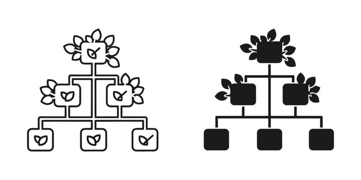 Abstract plant growth diagram with leaves and nodes in outline and solid styles