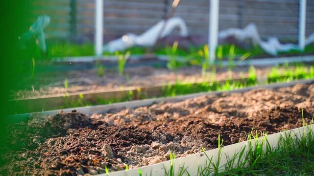 Pouring vermicompost from bucket onto garden bed in slow motion