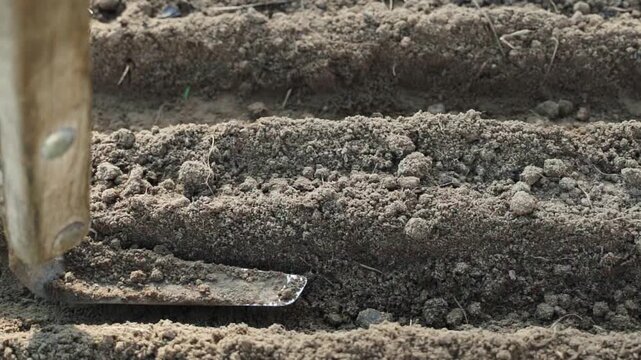Hand tamping soil before planting seeds in garden bed