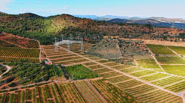 Aerial view of agricultural fields with power substation and hills. High angle view of orange orchards, red terracotta soil, electrical substation, and mountain landscape under bright daylight.