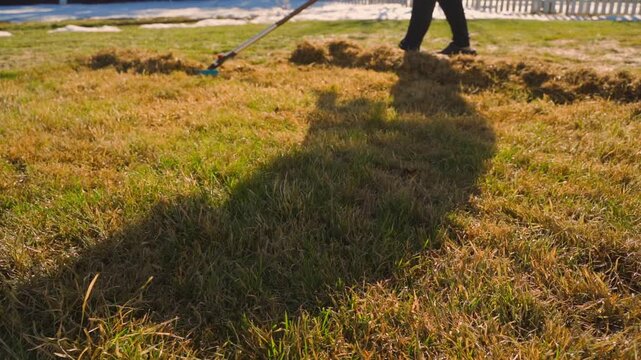 Person raking dead grass from lawn in early spring