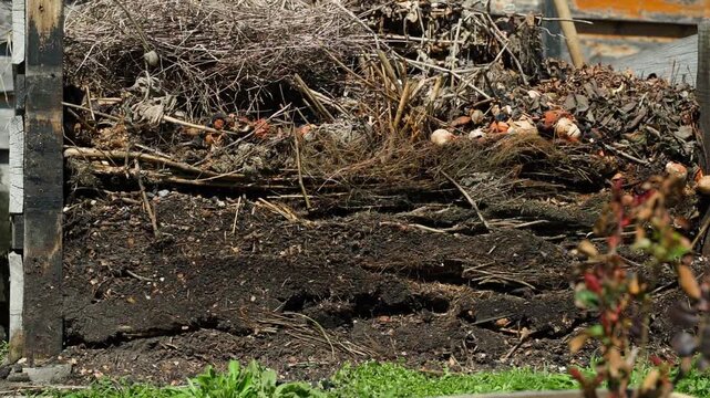 Layered compost pile with organic garden waste close-up