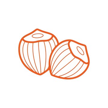 Two orange line art onions with tops removed and lines  vegetable illustration.