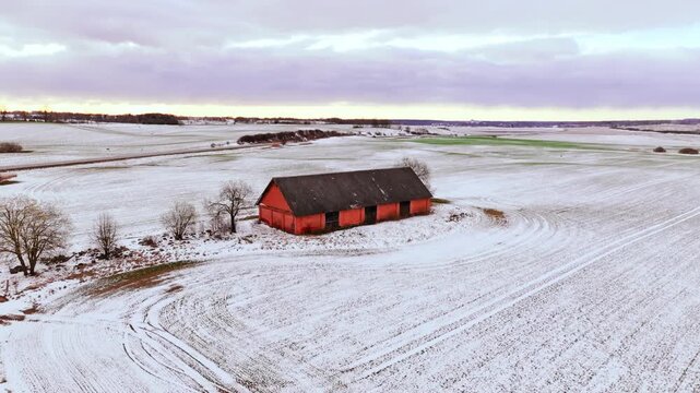 Drone view of snowy fields and isolated red farm barn at Baltic sunrise