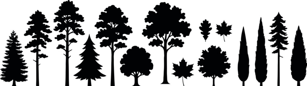 Forest Tree Silhouette Collection Vector Set with Evergreen Deciduous Cypress Trees and Leaf Elements