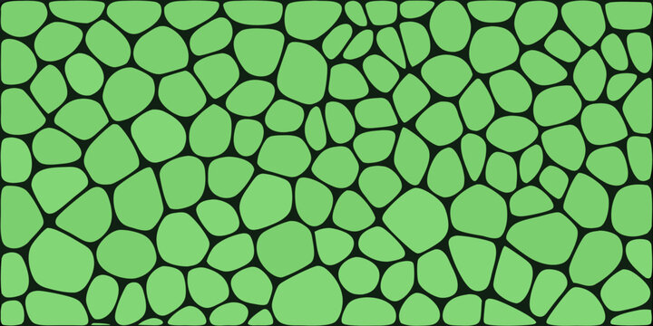 Organic pebble pattern with dark outlines on a light green background