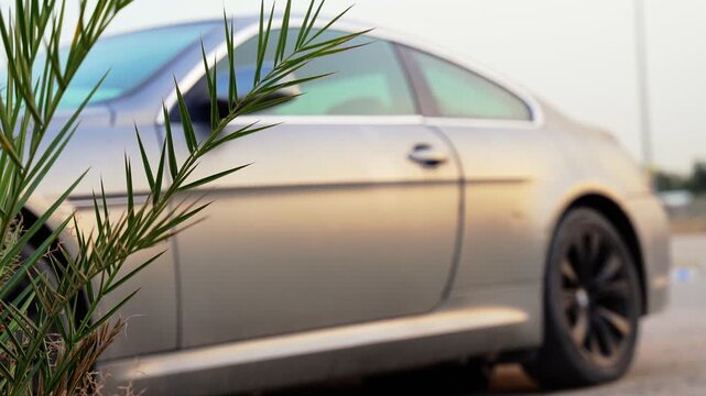 A silver luxury coupe parked on a sunny urban street during golden hour. The shot features a shallow depth of field, focusing on green tropical palm fronds in the foreground with the car blurred.