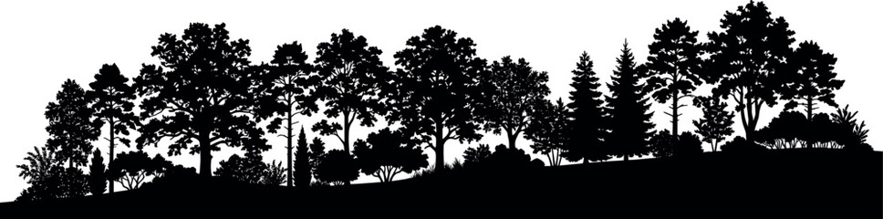 Obraz premium Forest Tree Silhouette Border Landscape with Mixed Woodland Vegetation Isolated on White Background Vector Design