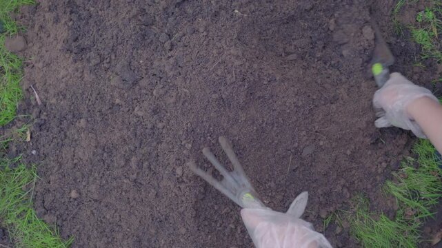 Mixing soil with fertilizer using a hand shovel and a hand fork close up, agriculture. The Video was taken from above.