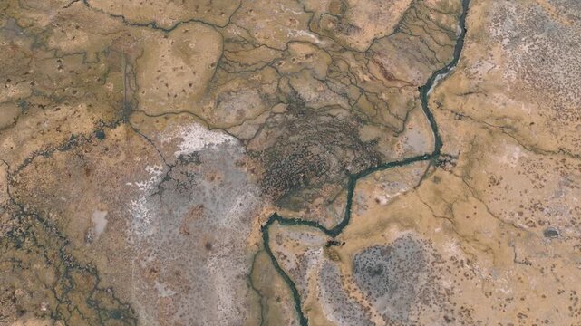 Drone view of llamas grazing across the vast plains of Sajama National Park, surrounded by the dramatic landscapes of the Bolivian Andes.