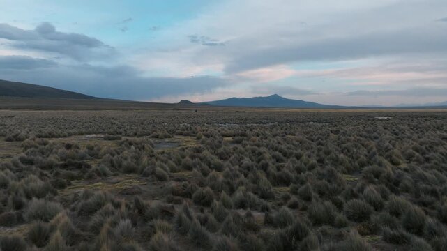 Sajama National Park, Sajama, Bolivia, plains, grassland, Altiplano, Andes, Andes Mountains, aerial view, drone view, drone photography, aerial photography, high altitude, wilderness, nature, scenic l